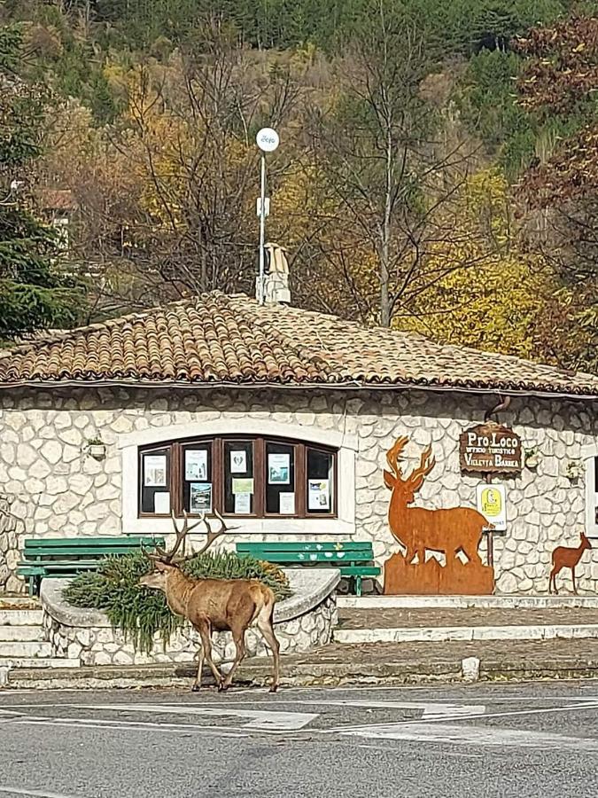 Casa Vacanze Al Castello 빌레타 바레아 외부 사진